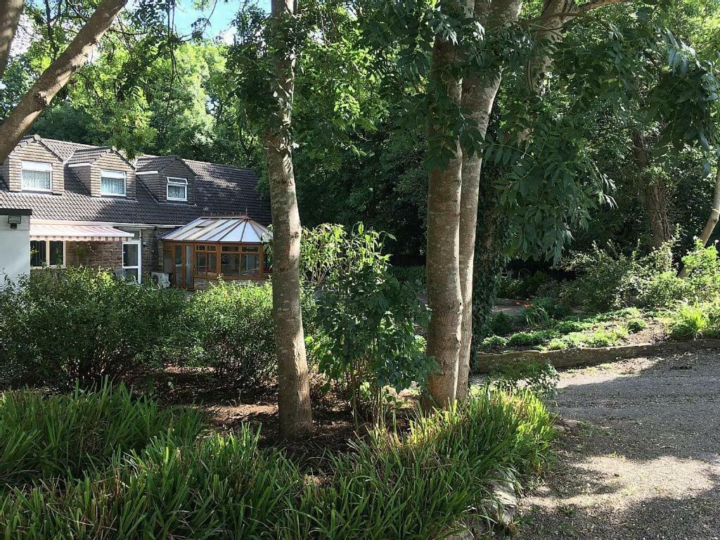 Bedrock Lodge Winterbourne Eksteriør billede